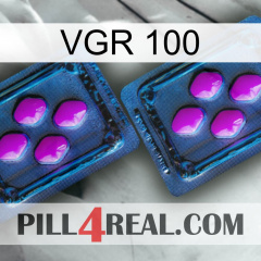 Vgr 100 03